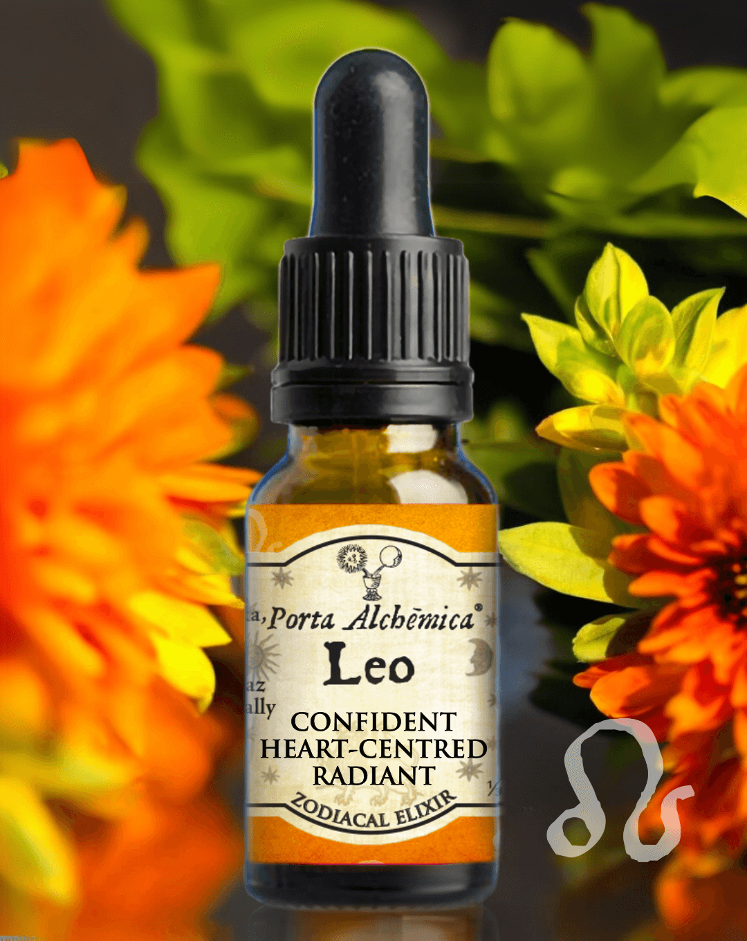 leo-elixir