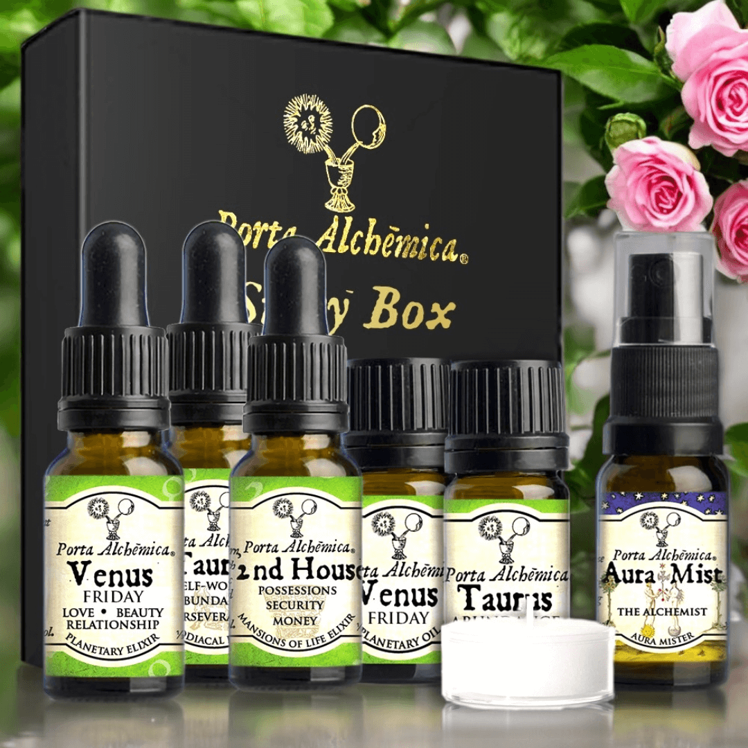 venus story box-2