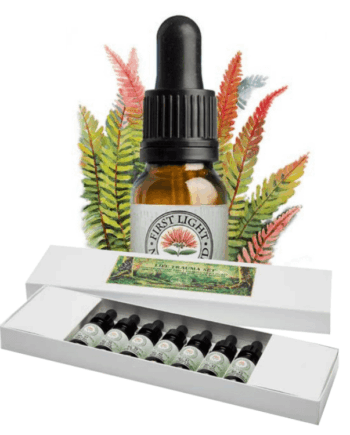 The Fern Collection - Boxed Set