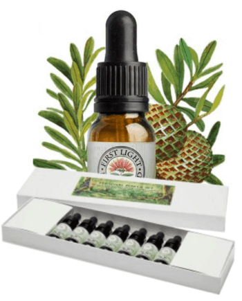 The Tree Collection - Boxed Set