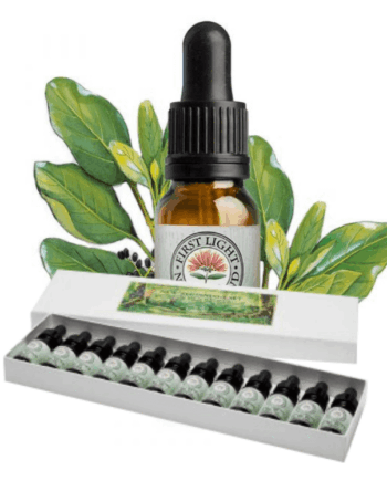 The Seed Collection - Boxed Set