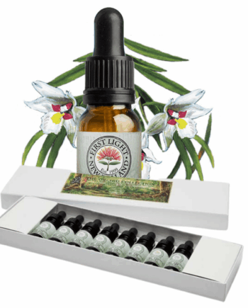 The Orchid Collection - Boxed Set