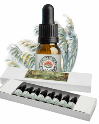 The Sacred Mountain Grass Collection - Boxed Set