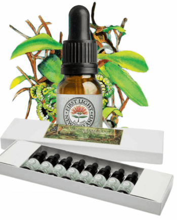 The Fern Ally Collection - Boxed Set