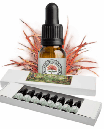 Sacred Sedge Collection - Boxed Set