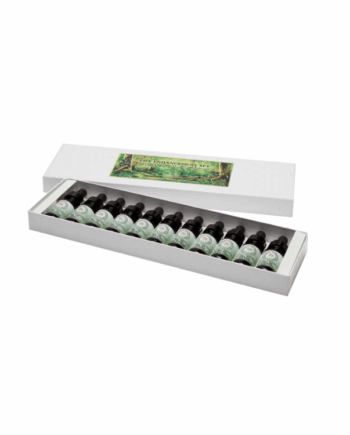 The Plant Collection - Box One