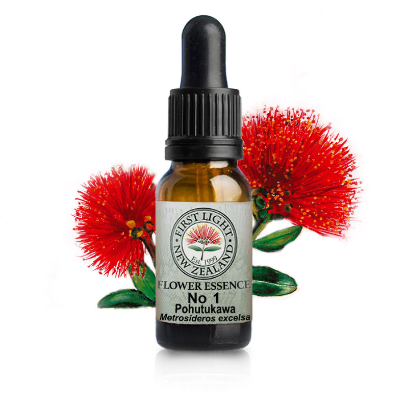 no 1 pohutukawa a
