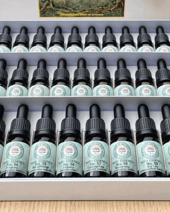 Flower Essence Practitioner Kit