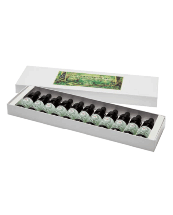 The Plant Collection - Box One