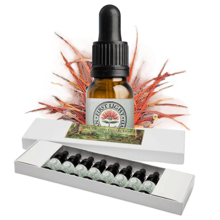 sacred sedge