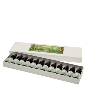 The Shamanic Collection - Box One