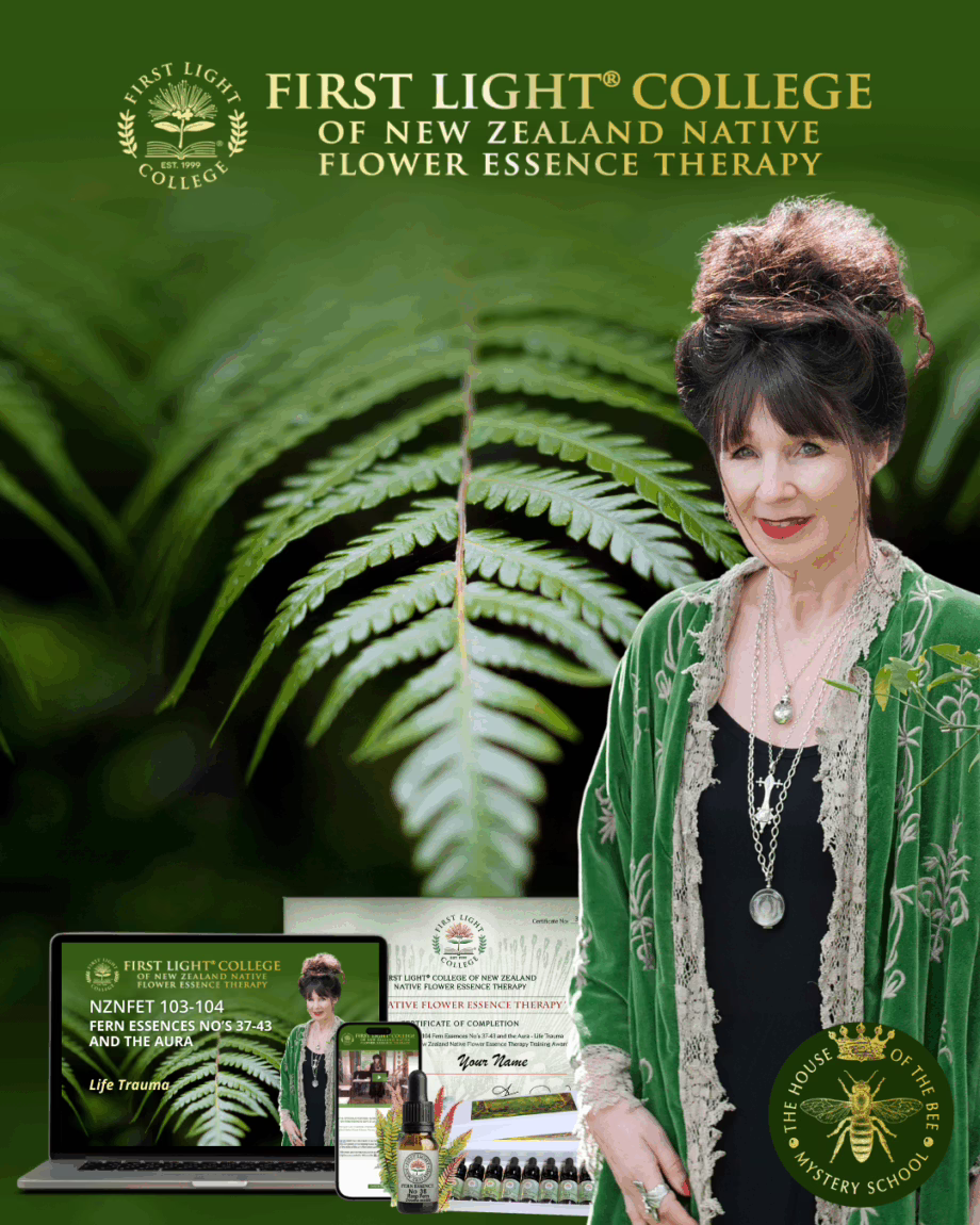 First Light® NZNFET 103-104 Fern Essences No's 37-43 and the Aura - Life Trauma