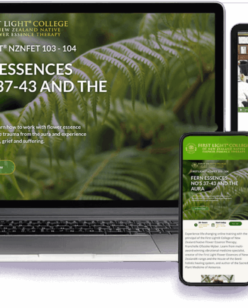First Light® NZNFET 103-104 Fern Essences No's 37-43 and the Aura - Life Trauma