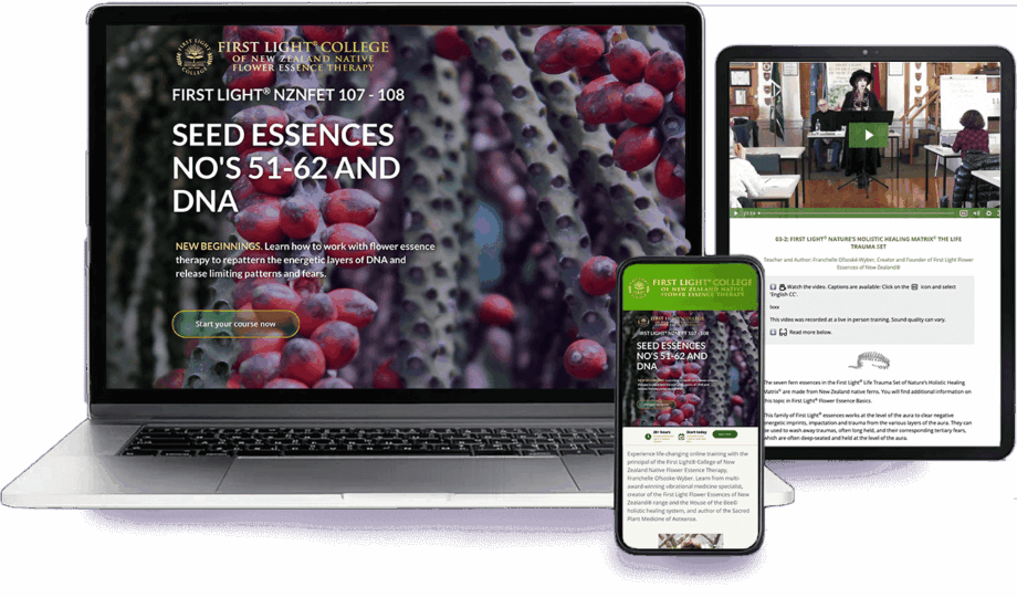 First Light® NZNFET 107-108 Seed Essences No 51-62 and DNA - New Beginnings - Best Value