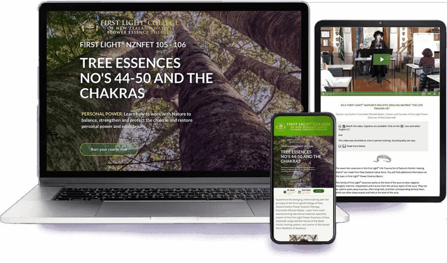 First Light® NZNFET 105-106 Tree Essences No's 44-50 and the Chakras - Personal Power - Best Value