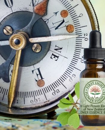 First Light® Life Purpose Blend©