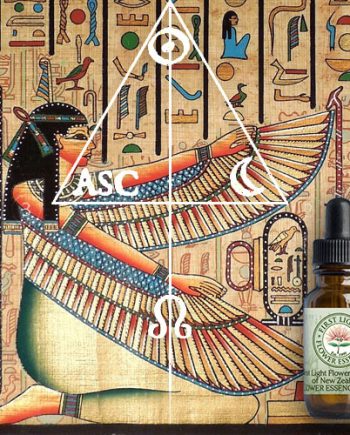 First Light® Arrow of Maat Blend©