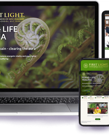 First Light® NZNFET 103-104 Fern Essences No's 37-43 and the Aura - Life Trauma - Best Value