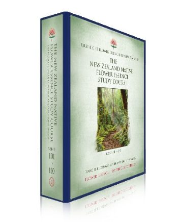 First Light® Study Unit Folder NZNFE 101-110