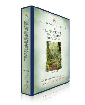 First Light® Study Unit Folder NZNFE 111-115