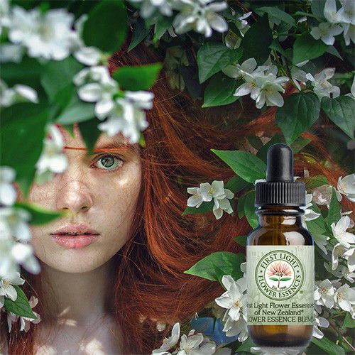 natures-healing-bouquet_1