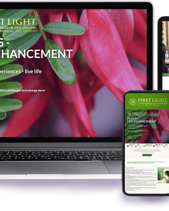 First Light® NZNFET 109-110 Plant Essences No's 63-84 and the Soul - Life Enhancement - Best Value