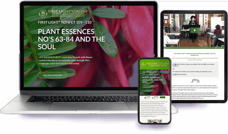 First Light® NZNFET 109-110 Plant Essences No's 63-84 and the Soul - Life Enhancement - Best Value
