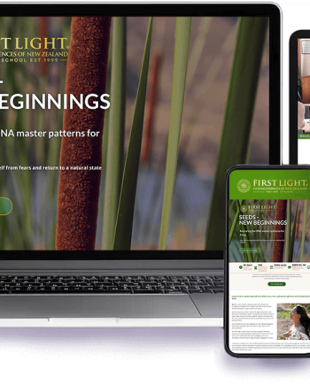 First Light® NZNFET 107-108 Seed Essences No 51-62 and DNA - New Beginnings - Best Value