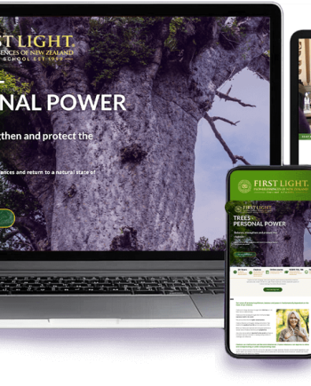 First Light® NZNFET 105-106 Tree Essences No's 44-50 and the Chakras - Personal Power - Best Value