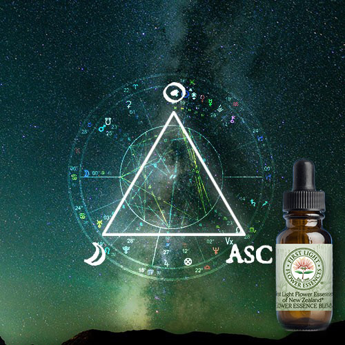 triangle-power-blend-v4_1