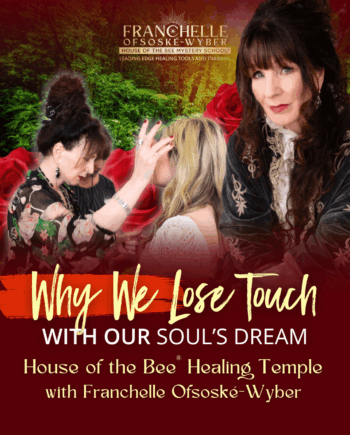 House of the Bee® Healing Temple - Why We Lose Touch with Our Soul's Dream (HOBHT01)