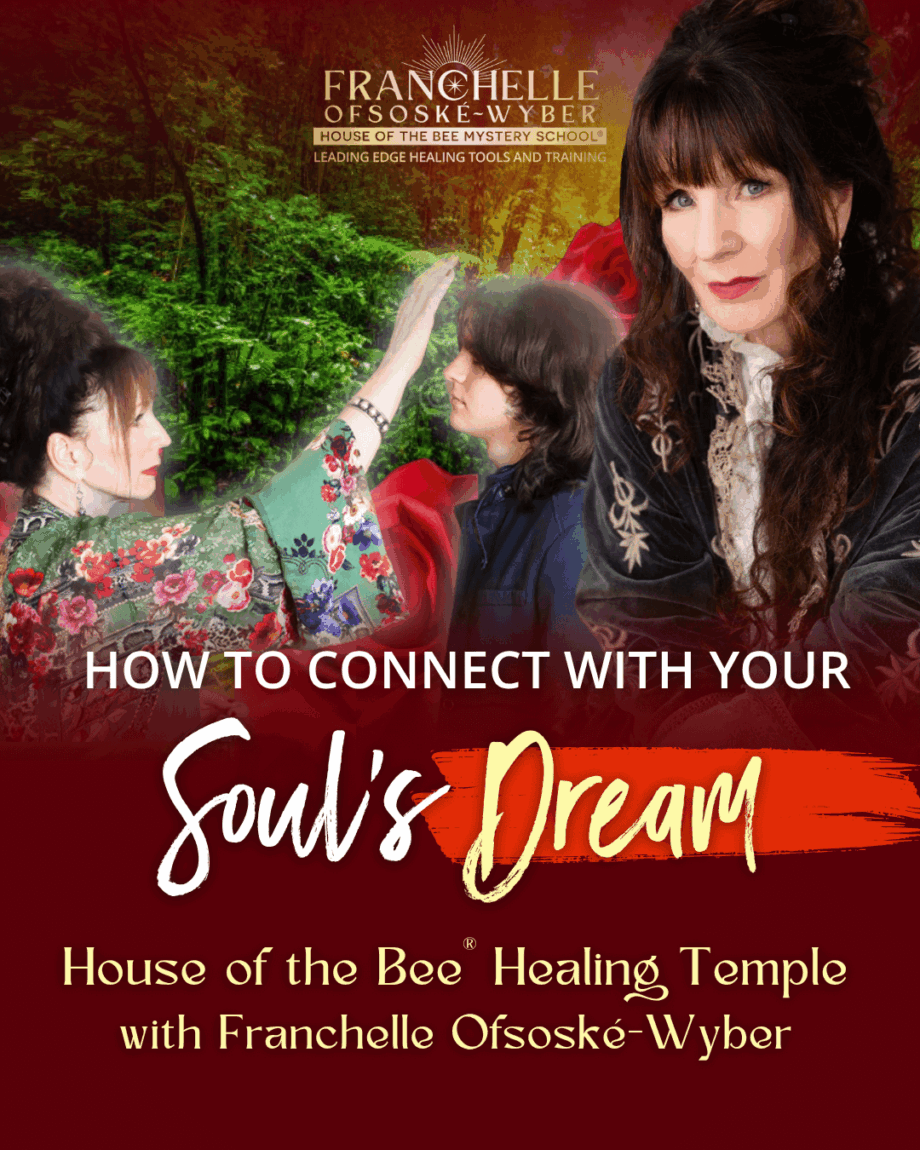 House of the Bee® Healing Temple - How to Connect with Your Soul's Dream (HOBHT02)