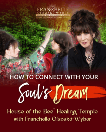 House of the Bee® Healing Temple - How to Connect with Your Soul's Dream (HOBHT02)
