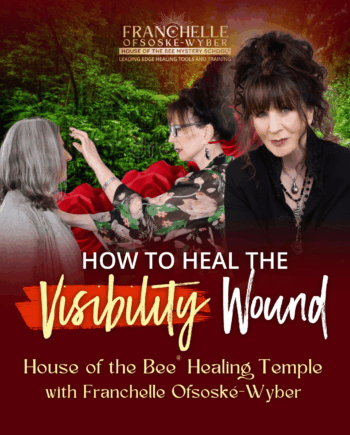 House of the Bee® Healing Temple - How to Heal the Visibility Wound (HOBHT03)
