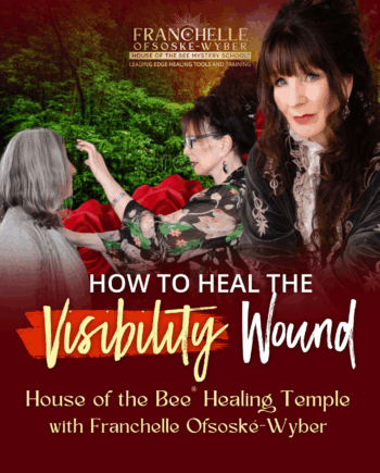 House of the Bee® Healing Temple - How to Heal the Visibility Wound (HOBHT03)
