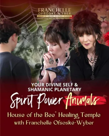 House of the Bee® Healing Temple - Your Divine Self and the 12 Planetary Spirit Power Animals (HOBHT05)