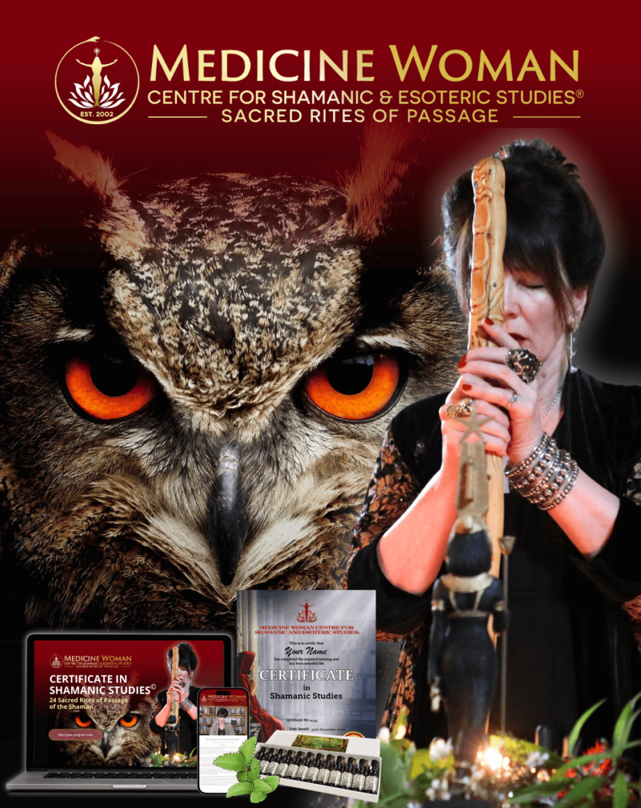 MW 103: Medicine Woman Certificate in Shamanic Studies©