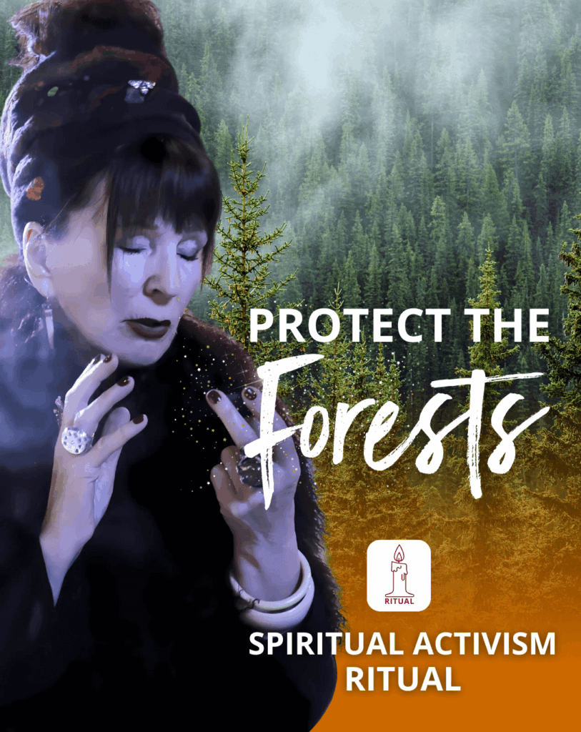 Porta Alchémica® Protect the Forests Spiritual Activism Ritual