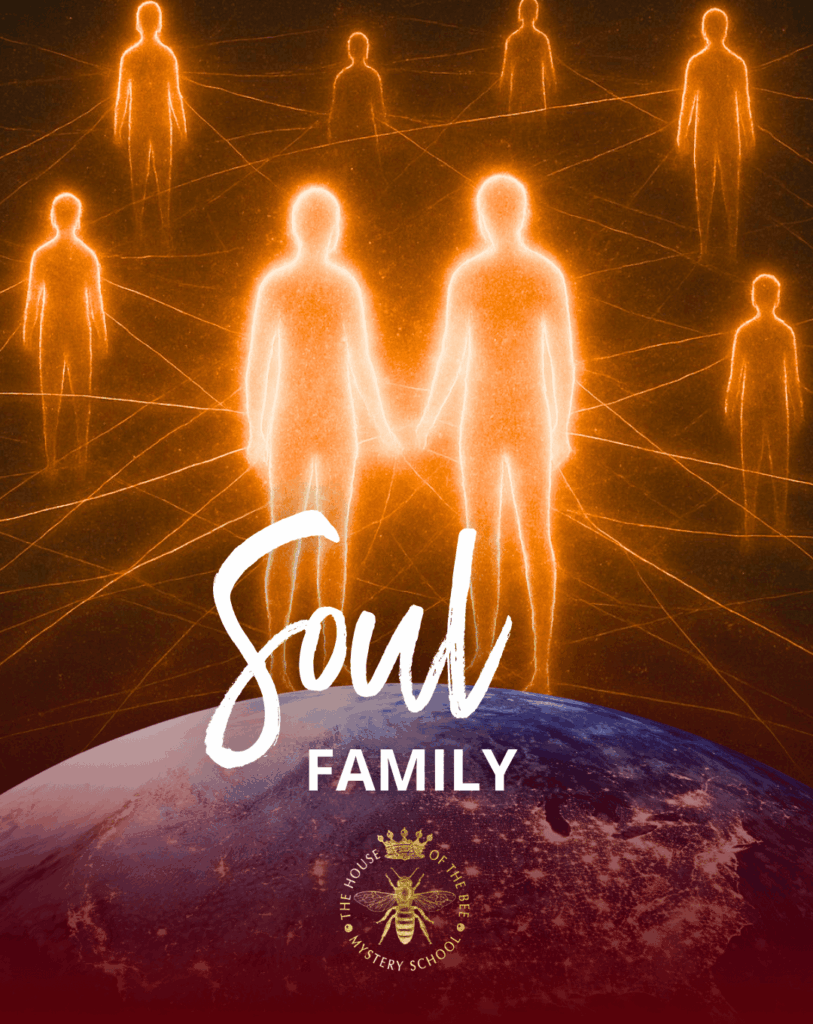 What Is Soul Family?