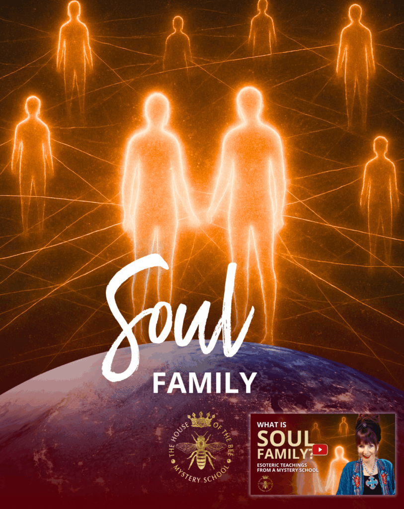 What Is Soul Family? 5 Signs You May Belong to One